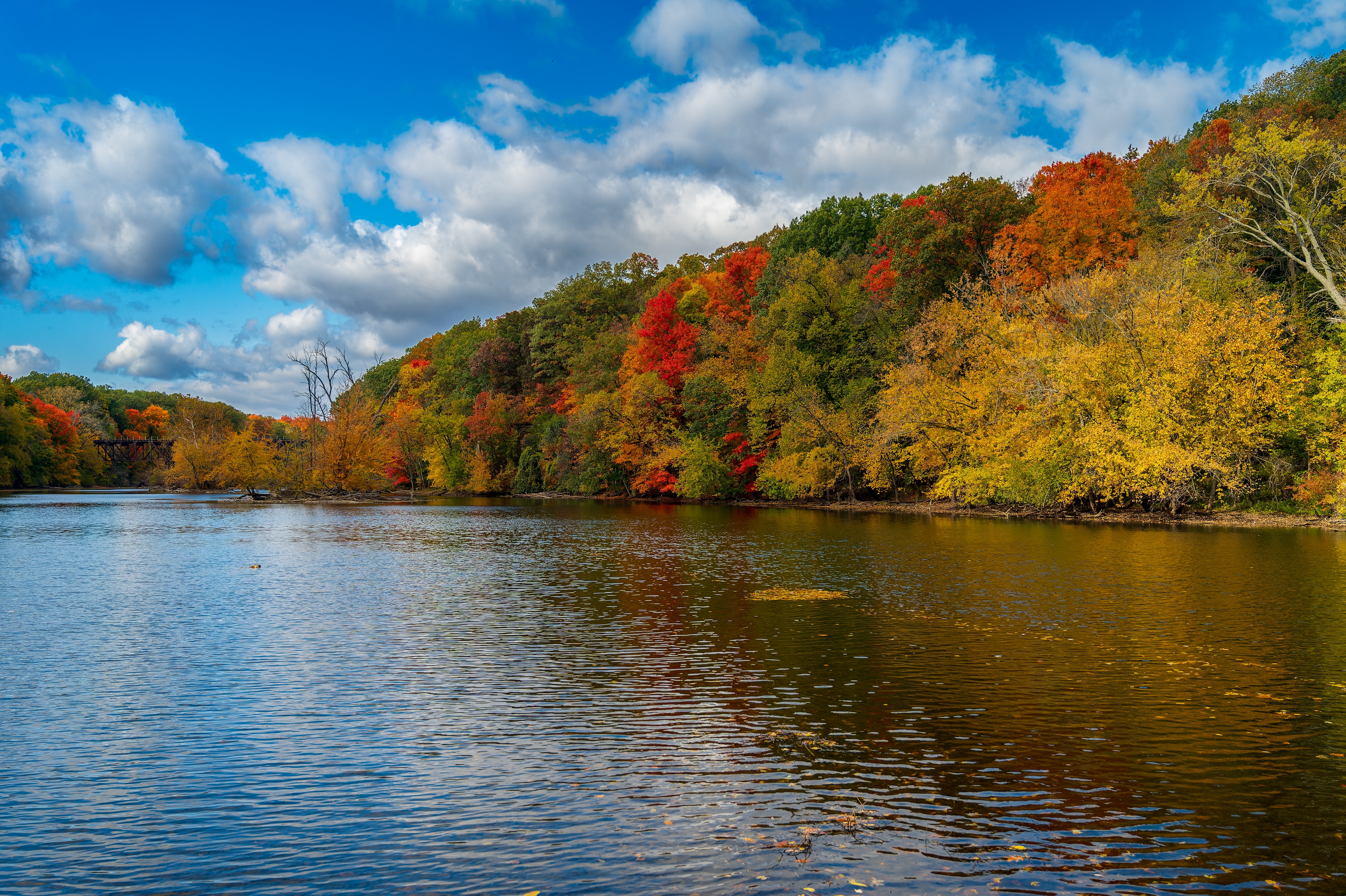 An image of a landscape